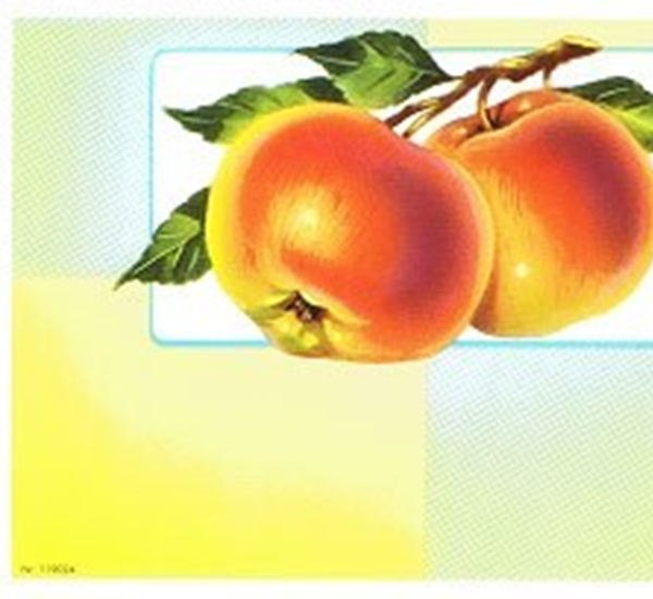 Etiketten KR nr 119024  50 st.  appels